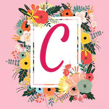 c photo c photo
